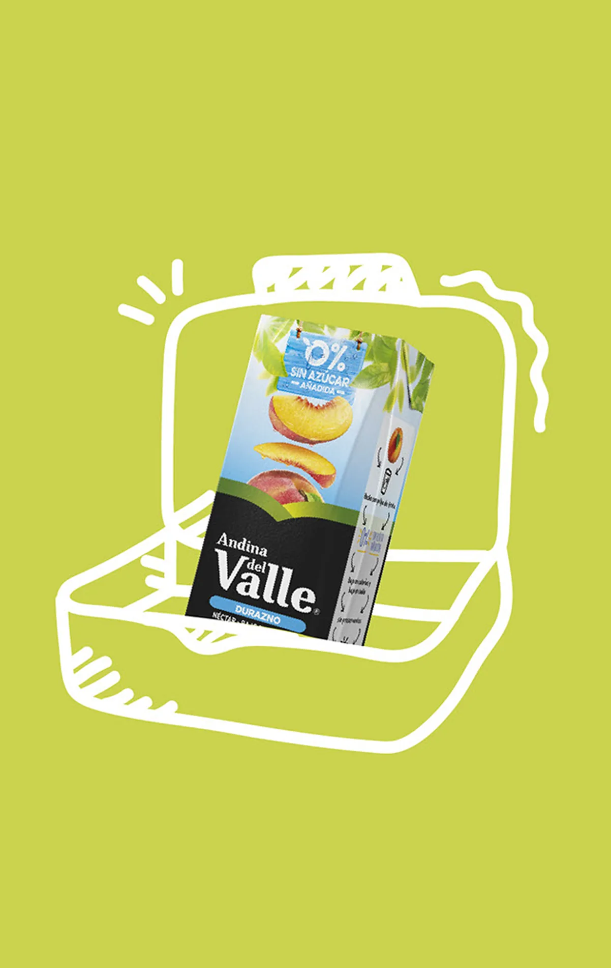 Caja Andina del Valle 200 ml dentro de una lonchera escolar ilustrada.