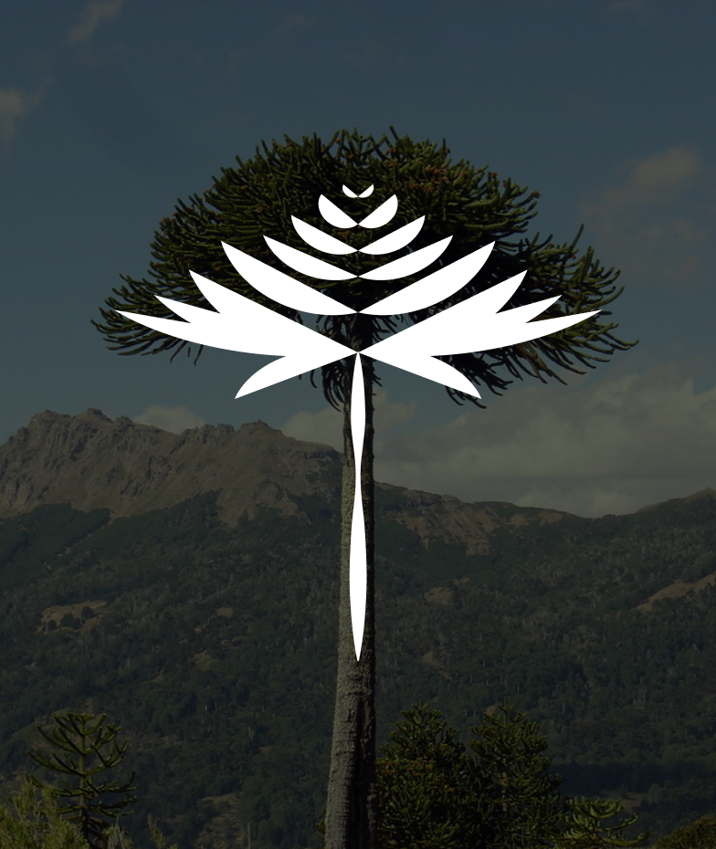 Logo de Portal Pehuén superpuesto sobre fotografía de araucaria en paisaje cordillerano.