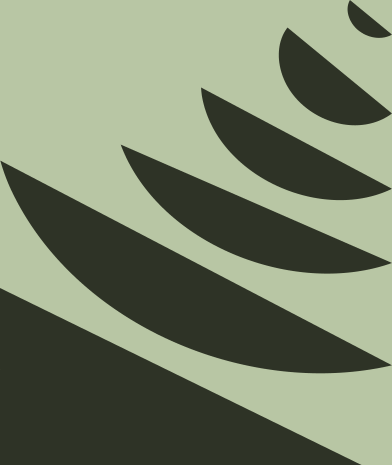 Patrón gráfico con ramas de araucaria, elemento visual de la identidad Portal Pehuén.